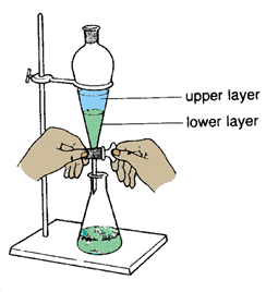 Sep Funnel
